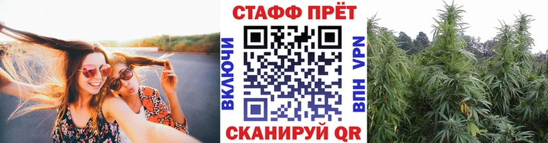 Названия наркотиков Шимановск Гашиш A-PVP Меф мяу мяу Вейп ТГК Бошки Шишки