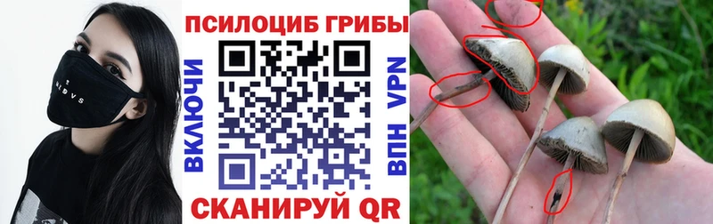 Галлюциногенные грибы ЛСД  Шимановск 